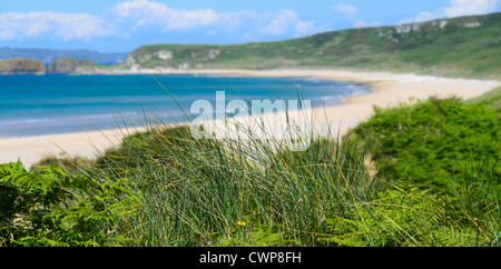 Eine Szene von der Küste von North Antrim, Irland Whitepark Bay. Bild konzentriert sich auf das Vordergrund-grün mit einer flachen DOF. Stockfoto