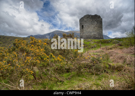 Dreizehnten Jahrhundert zerstörten Burg mit Bergfried, Dolbadarn Burg, Llanberis Pass, Snowdonia N.P, North Wales, kann Stockfoto