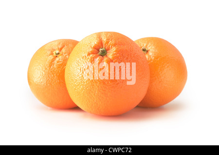Citrus Sinensis, Orange Stockfoto