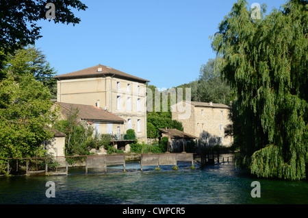 Wassermühle und Weir am Fluss Sorgue und Weeping Willow, Salix babylonica, in Fontaine-de-Vaucluse Vaucluse Provence Frankreich Stockfoto