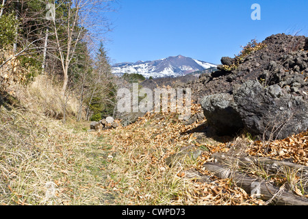 von einer Seite des Vulkans Etna Stockfoto