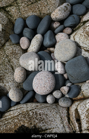Kieselsteine am Progo, nahe Gribba Point, Cape Cornwall Cornwall England UK GB Stockfoto