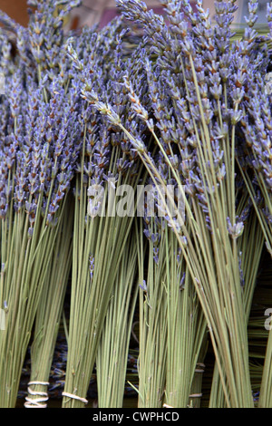 Lavendel Sträuße zum Verkauf an der Berkeley Farmers' Market. Stockfoto