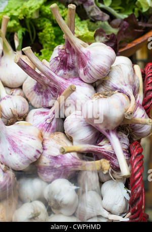 Knoblauchzehen auf Verkauf im englischen Markt, Stadt Cork, Irland. Stockfoto