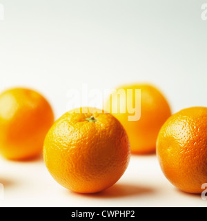Citrus Sinensis, Orange Stockfoto