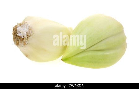 Zwei Knoblauchzehen Elefanten auf einem weißen Hintergrund angeordnet Stockfoto