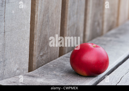 Malus Domestica. Apple "Red Devil" auf eine Gartenbank Stockfoto