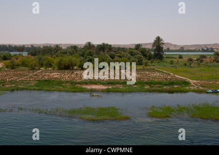 Ackerland entlang dem Nil zwischen Luxor und Assuan, Ägypten Stockfoto