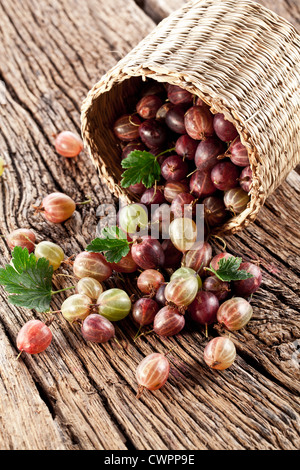 Stachelbeeren sind aus dem Korb auf einem alten Holztisch gesunken. Stockfoto