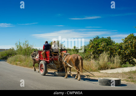 Zwei Pferde und ein Wagen ziehen eine große Reifen getrieben wird von zwei Männern entlang einer Landstraße in der Nähe von Altea, Spanien Stockfoto