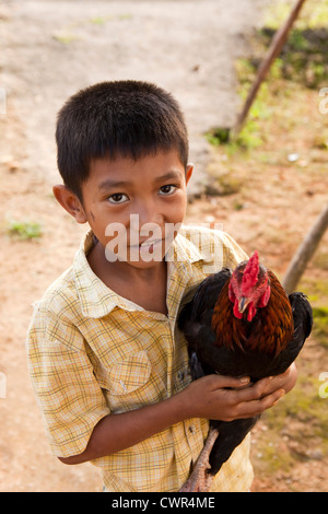 Indonesien, Sulawesi, Labundo Bundo Dorf, Kind hält Haushuhn Stockfoto