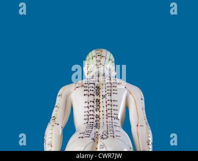 Ein weibliches Modell mit markierten Akupunkturpunkte, chinesischen Schriftzeichen auf den Meridianen, traditionelle chinesische Medizin Stockfoto