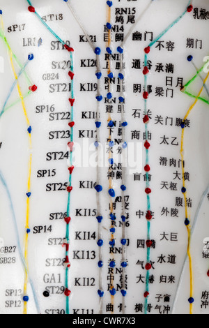 Ein weibliches Modell mit markierten Akupunkturpunkte, chinesischen Schriftzeichen auf den Meridianen, traditionelle chinesische Medizin Stockfoto