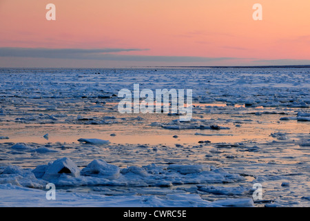 Sonnenuntergang über Tiefland der Hudson Bay im frühen Winter, Seal River Heritage Lodge, Churchill, Manitoba, Kanada Stockfoto