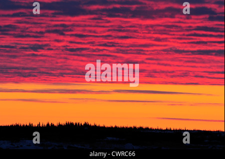 Sonnenuntergang über Tiefland der Hudson Bay im frühen Winter, Seal River Heritage Lodge, Churchill, Manitoba, Kanada Stockfoto