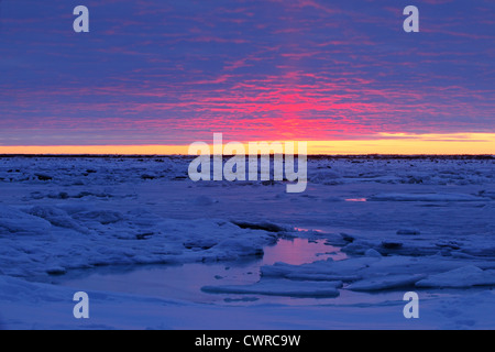 Sonnenuntergang über Tiefland der Hudson Bay im frühen Winter, Seal River Heritage Lodge, Churchill, Manitoba, Kanada Stockfoto