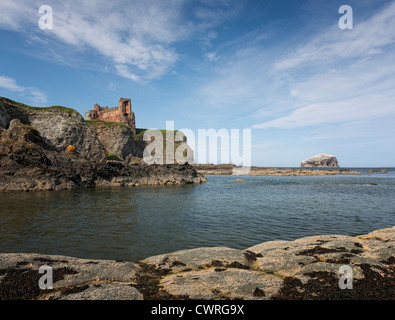 Tantallon Castle und Bass Rock Stockfoto