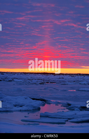 Sonnenuntergang über Tiefland der Hudson Bay im frühen Winter, Seal River Heritage Lodge, Churchill, Manitoba, Kanada Stockfoto