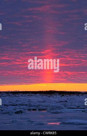 Sonnenuntergang über Tiefland der Hudson Bay im frühen Winter, Seal River Heritage Lodge, Churchill, Manitoba, Kanada Stockfoto