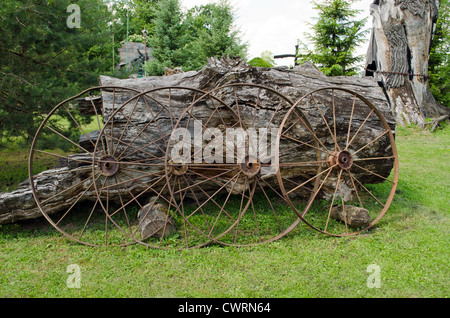 Alte rostige Wagen Räder lehnen zu alten Baumstamm in antiker Gegenstände Park. Stockfoto