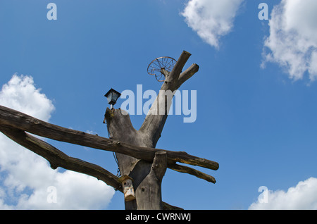 Park Gate Stamm Ast am blauen Himmel. Vögel nisten-Box und alten Fahrrad-Rad für Storchennest. Stockfoto