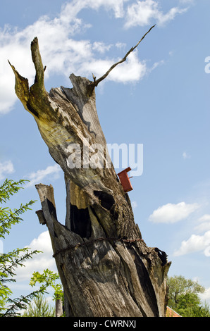 Alte leere Baumstamm stärken mit rostigen Kette und Vogel Nistkasten auf Himmelshintergrund. Stockfoto