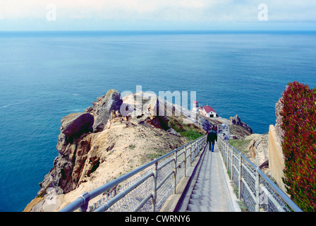 Point Reyes National Seashore, Kalifornien, USA - auf der Suche und zu Fuß nach unten 300 Stufen / Treppen zum Punkt Reyes Leuchtturm Stockfoto