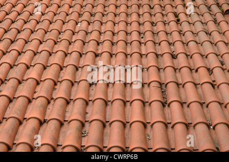 Hintergrund des Tones Runde Fliesen gedeckte Dach. Stockfoto