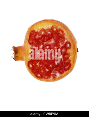 Punica Granatum, Granatapfel Stockfoto