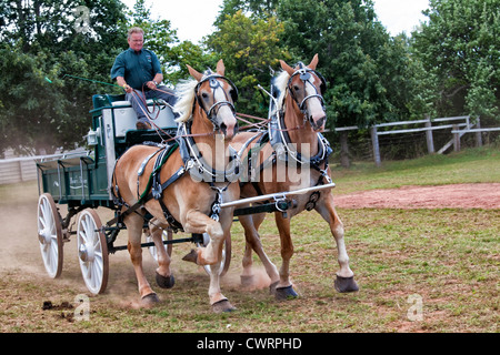 Das Reitturnier auf der Landwirtschaftsausstellung Evangeline und Acadian Festival in Prince Edward Island, Kanada. Stockfoto