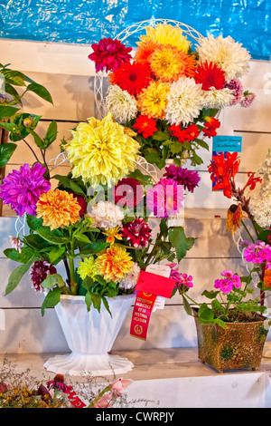 Blume-Wettbewerb auf dem Evangeline landwirtschaftliche Ausstellung & Acadian Festival in Prince Edward Island, Kanada, Stockfoto