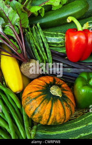 Eine Auswahl an Gemüse geerntet und auf eine Zuteilung angebaut Stockfoto