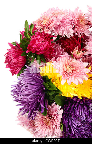 Blumen. Strauß Chrysanthemen und Astern isoliert auf weiss Stockfoto