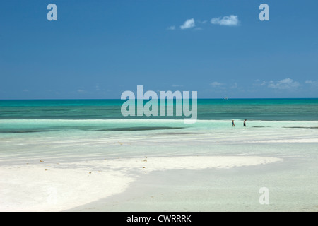 SANDSPUR STRAND BAHIA HONDA STATE PARK BAHIA HONDA KEY FLORIDA USA Stockfoto