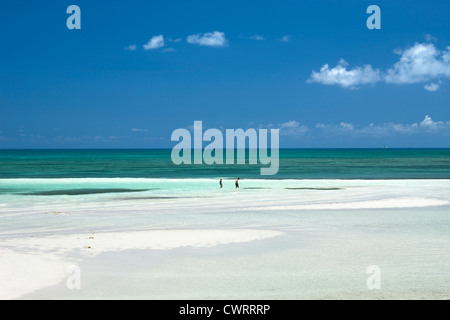 SANDSPUR STRAND BAHIA HONDA STATE PARK BAHIA HONDA KEY FLORIDA USA Stockfoto