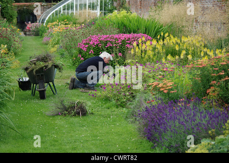 Männliche Gärtner eine gemischte Rabatte in einem englischen Landhaus Garten Jäten Stockfoto