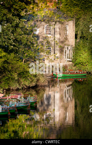 Fluß Nidd bei Knaresborough Stockfoto