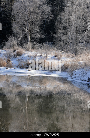 Frühen Winterschnee am Ufer des Creek Junction, Greater Sudbury, Ontario, Kanada Stockfoto