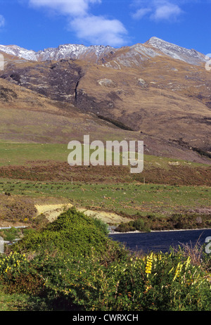 Berglandschaft in Glenorchy, Südinsel, Neuseeland Stockfoto