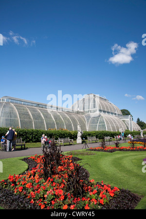 Palm-Haus Parterre mit Blütenpracht von ca. 16.000 Pflanzen, Kew Royal Botanical Gardens, Richmond, Surrey, England, GB, UK. Stockfoto