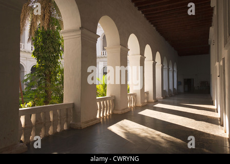 Elk201-1200 Indien, Goa, Old Goa, Bom Jesus Basillica, Kreuzgang Stockfoto