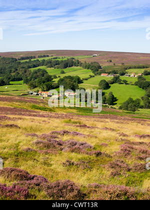 Eine Farm im Heidekraut bedeckten Hügeln am Castleton in North Yorkshire Moors Nationalpark UK Stockfoto