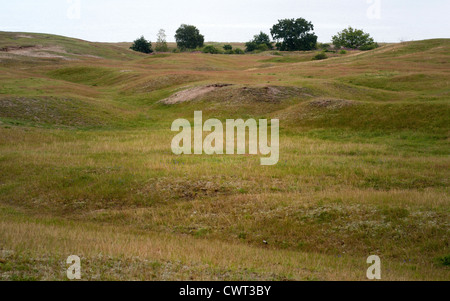 Sandy Moor, reich an Kalk, ist ein wertvolles Biotop mit seltenen Pflanzen Stockfoto