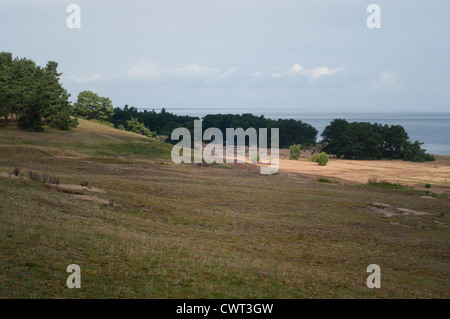 Sandy Moor, reich an Kalk, ist ein wertvolles Biotop mit seltenen Pflanzen Stockfoto