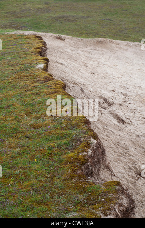 Sandy Moor, reich an Kalk, ist ein wertvolles Biotop mit seltenen Pflanzen Stockfoto