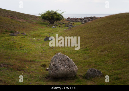 Sandy Moor, reich an Kalk, ist ein wertvolles Biotop mit seltenen Pflanzen Stockfoto