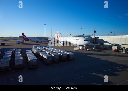 Qantas-Flugzeug im inländischen Terminal Brisbane Australien Stockfoto