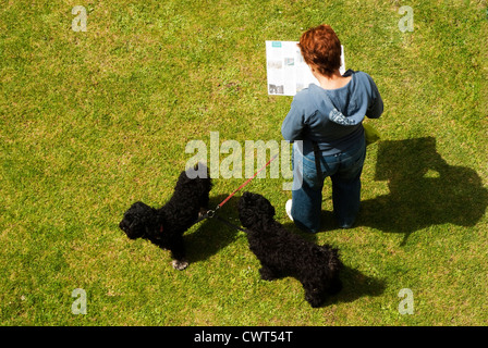 Eine Frau, ein Handbuch zu lesen, während zwei schwarze Hunde an der Leine genommen von oben zu halten. Stockfoto