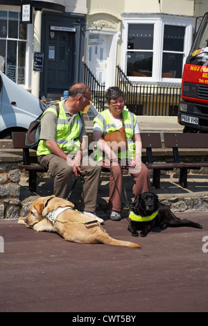 Blinden und sehbehinderten Mann und die Frau saß auf der Bank die Sonne zu genießen, mit Blindenhunden in Weymouth auf den Boden zu ihren Füßen gelegt Stockfoto