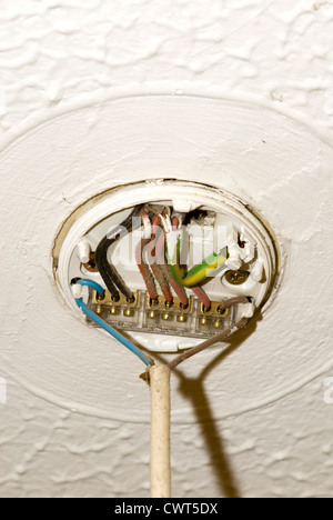 Elektrische Leuchte zeigt elektrische Anschlüsse Stockfoto